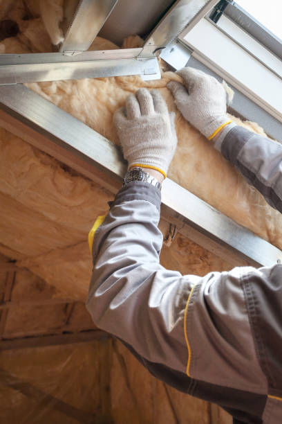 Best Insulation Replacement Services  in Arapahoe, WY